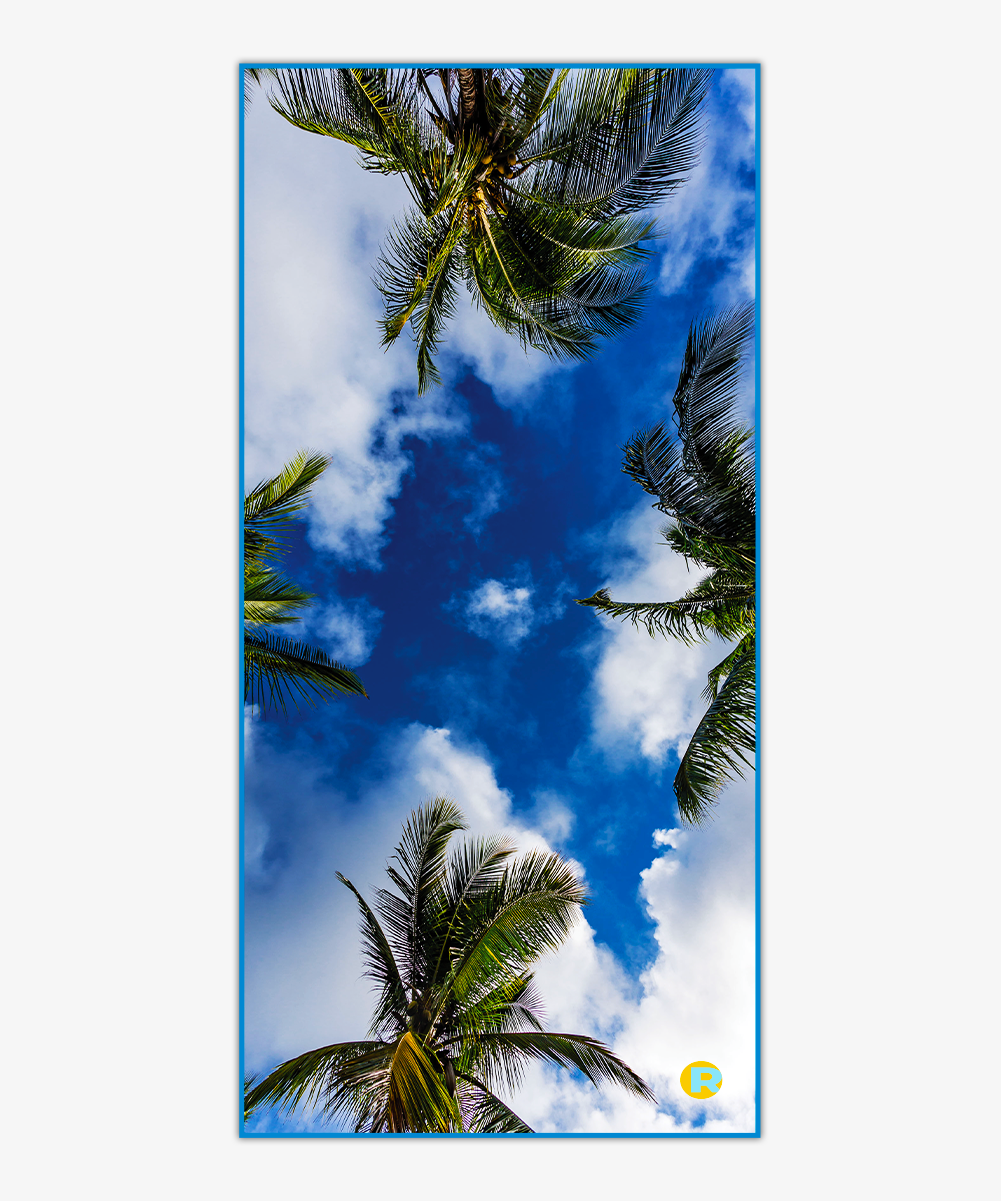 Sand Free Beach Towel - Pacific Palms